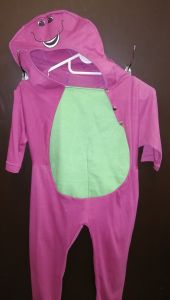 Kids Costumes to Hire - Barney - CHILD